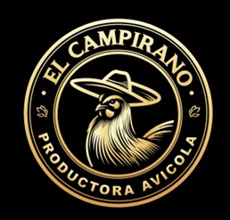 Empresa 5